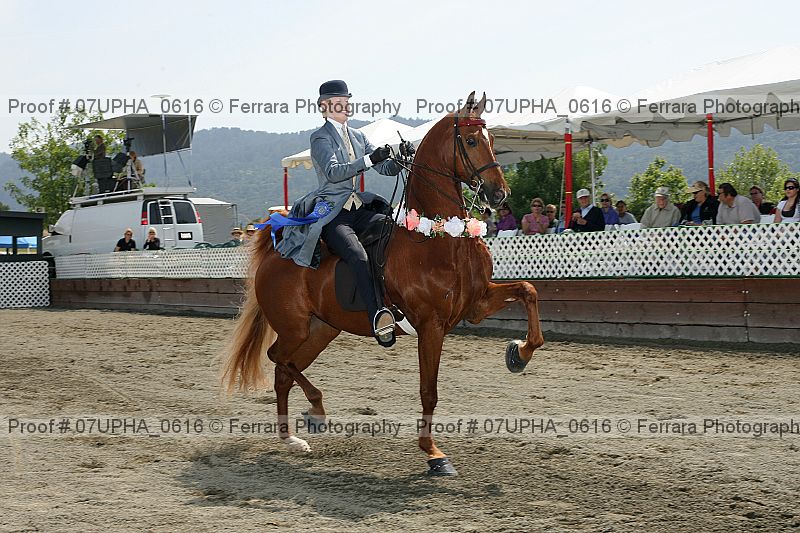 Proof Number 07upha_0616