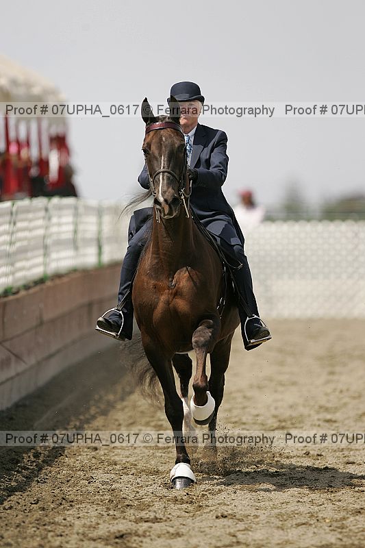 Proof Number 07upha_0617