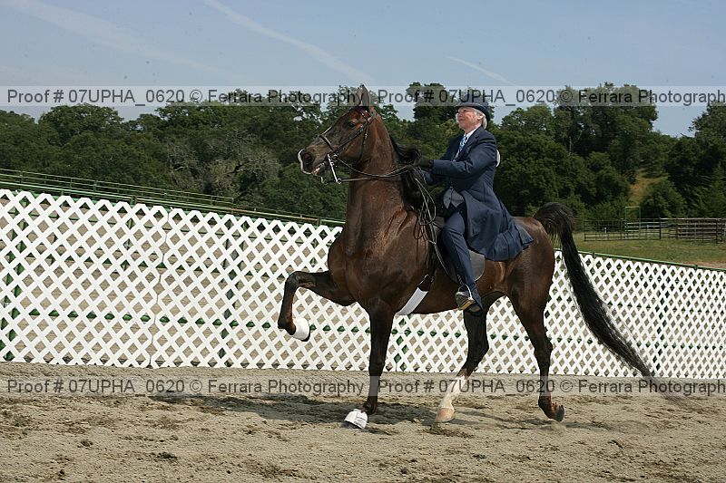 Proof Number 07upha_0620