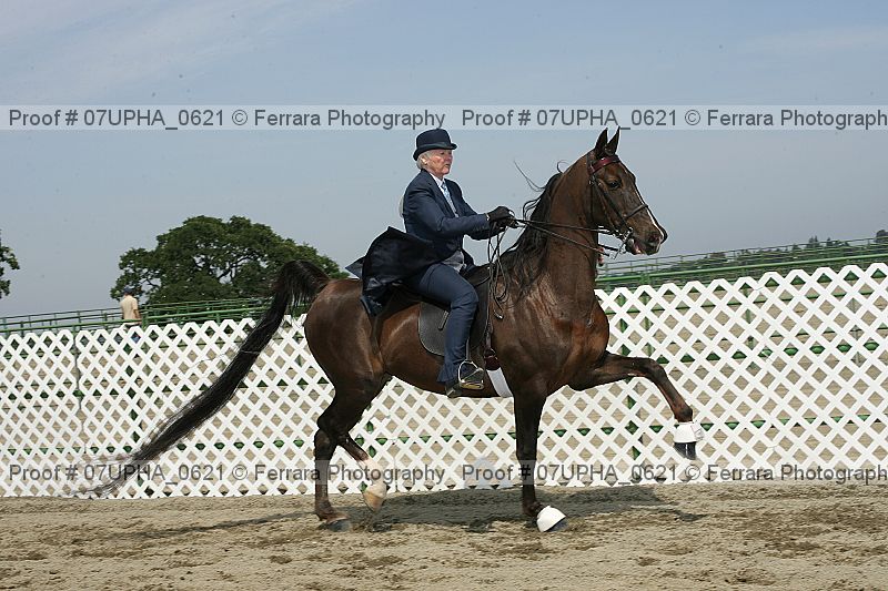 Proof Number 07upha_0621