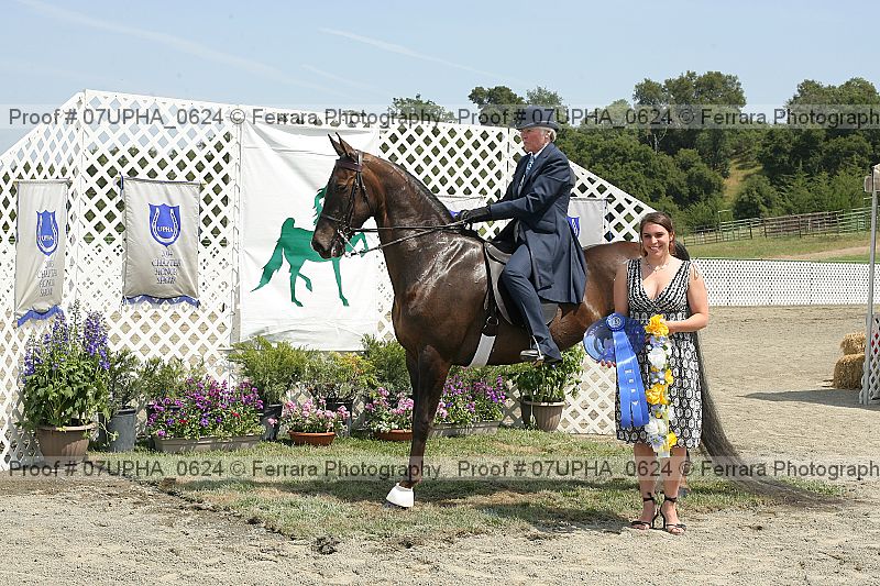 Proof Number 07upha_0624