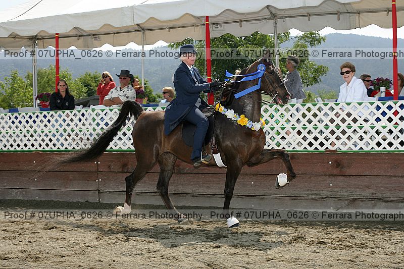 Proof Number 07upha_0626
