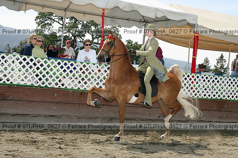 Proof Number 07upha_0627