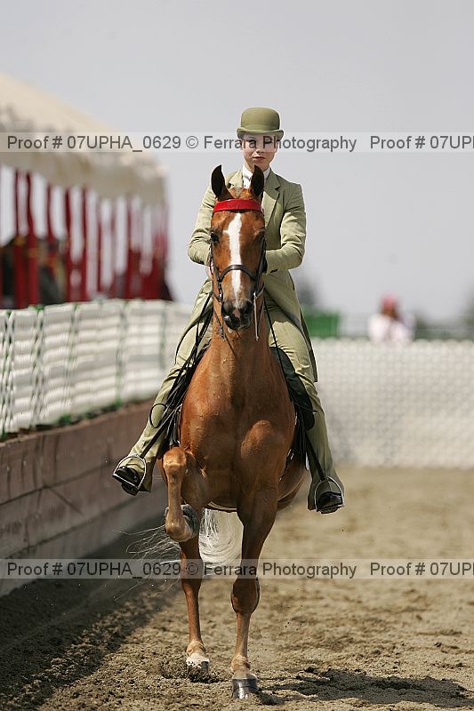 Proof Number 07upha_0629