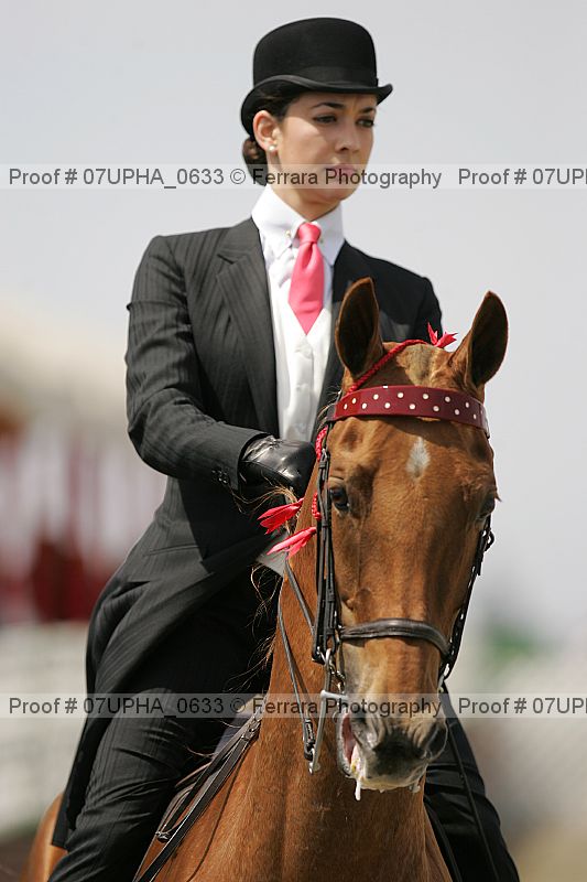 Proof Number 07upha_0633