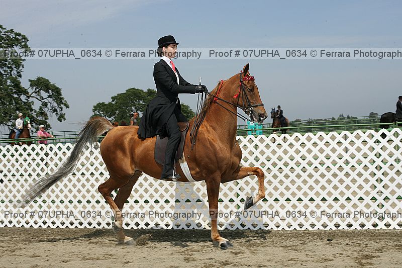 Proof Number 07upha_0634