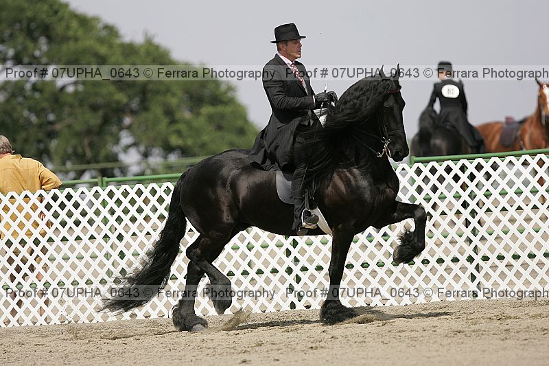 Proof Number 07upha_0643