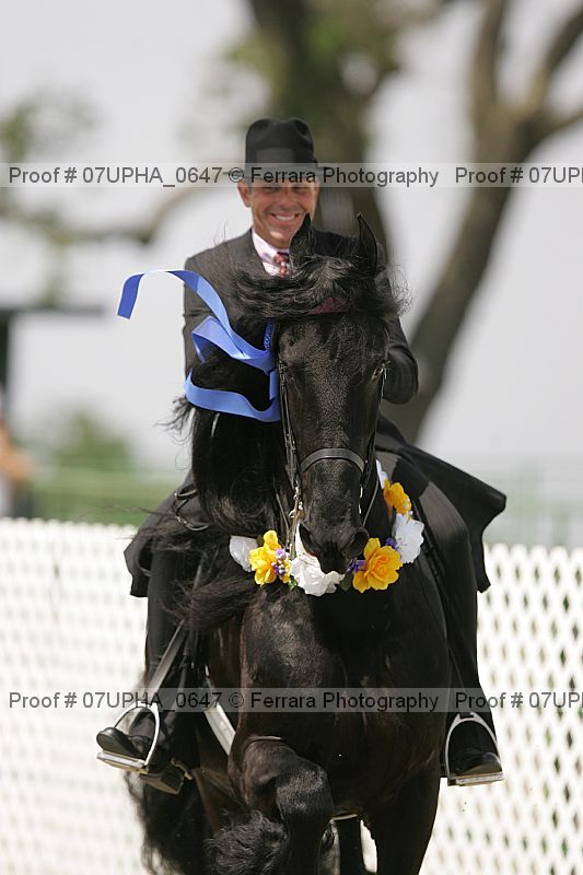 Proof Number 07upha_0647
