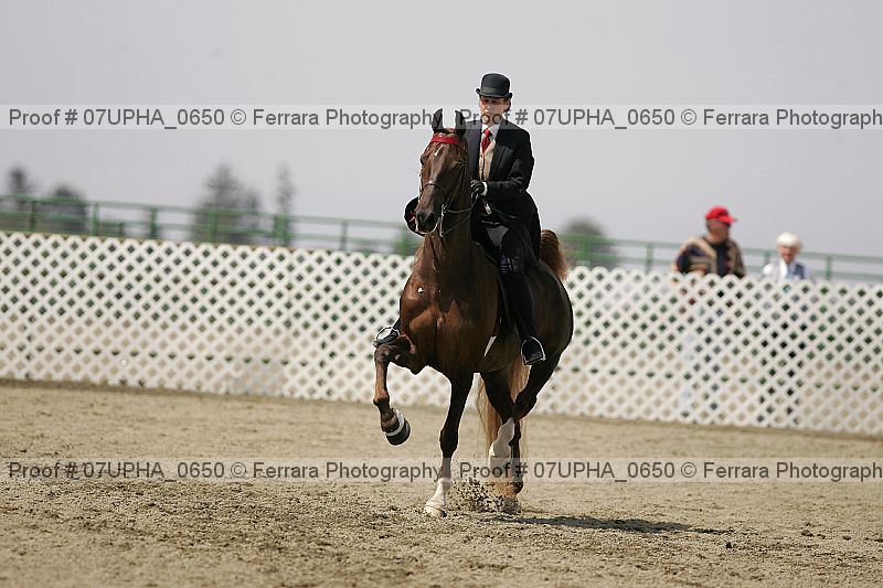 Proof Number 07upha_0650