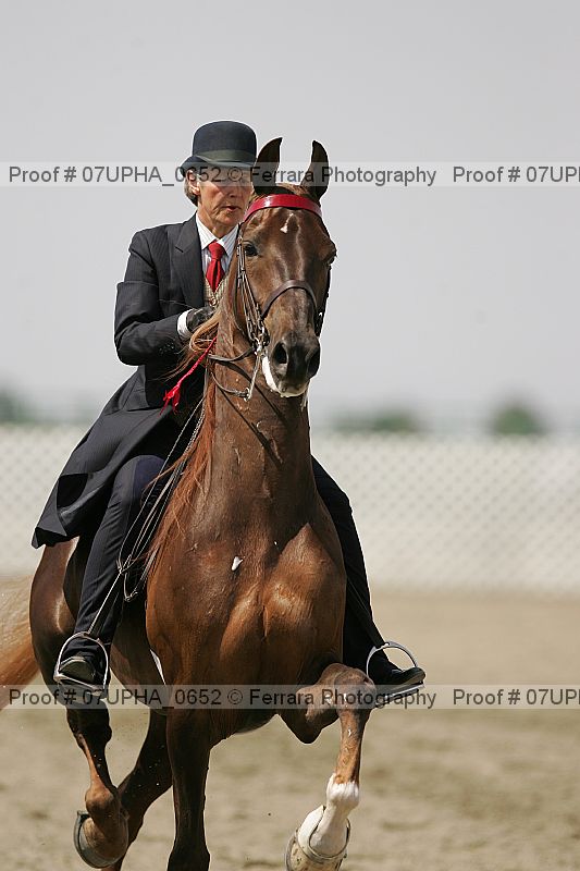 Proof Number 07upha_0652