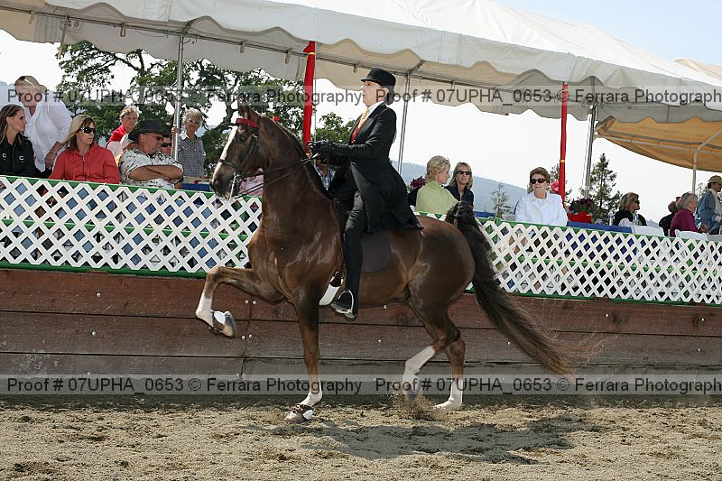 Proof Number 07upha_0653