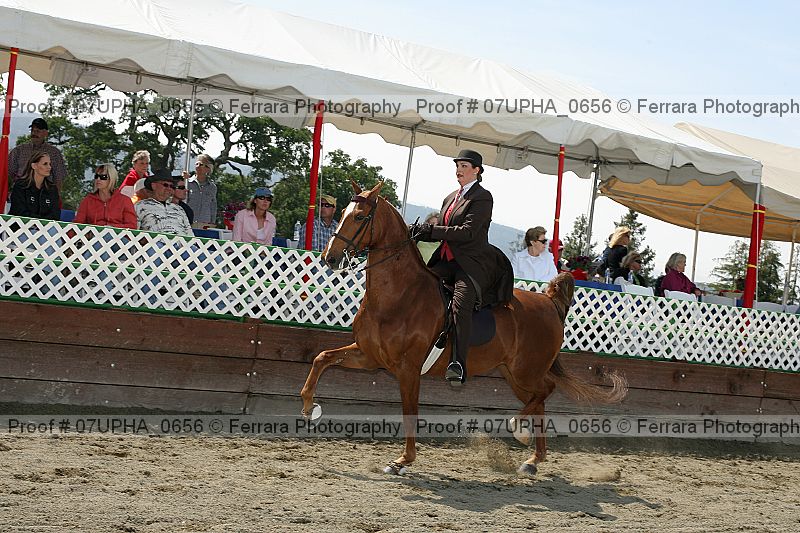 Proof Number 07upha_0656