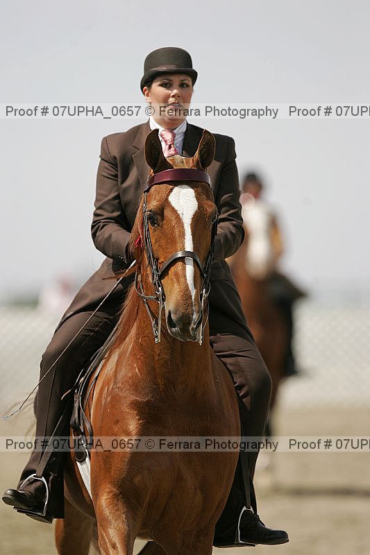 Proof Number 07upha_0657