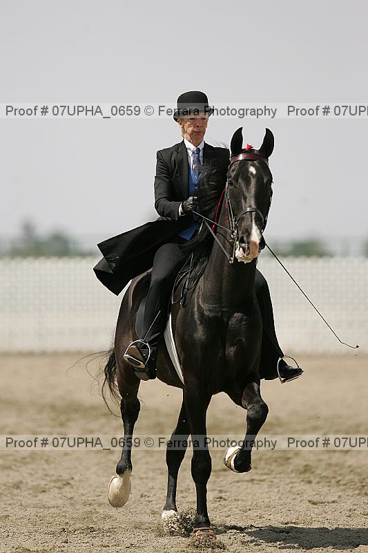 Proof Number 07upha_0659