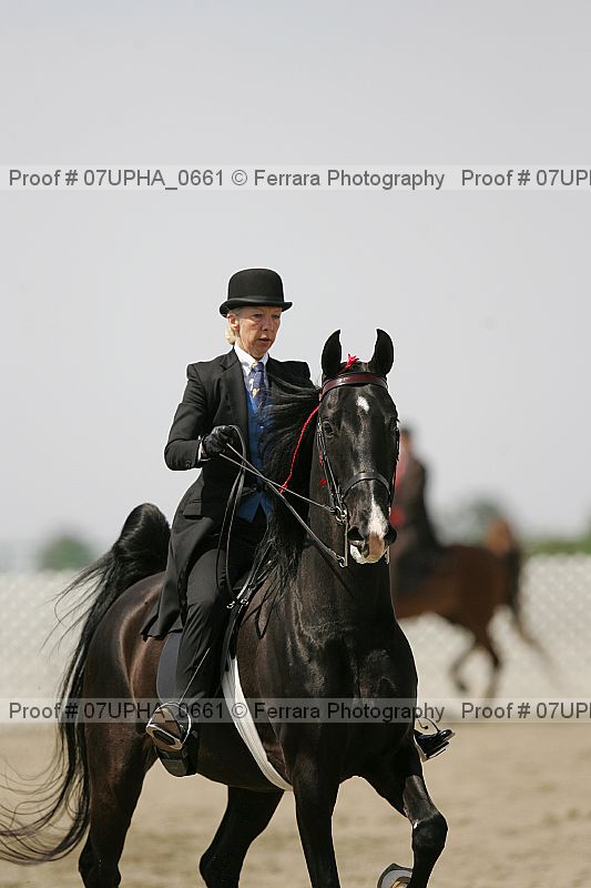 Proof Number 07upha_0661