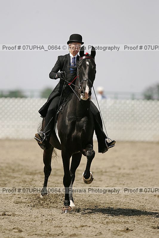 Proof Number 07upha_0664