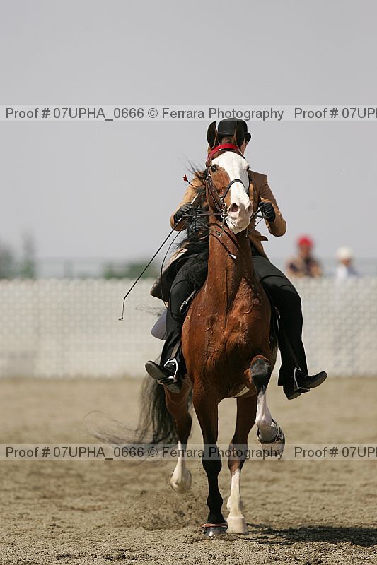 Proof Number 07upha_0666