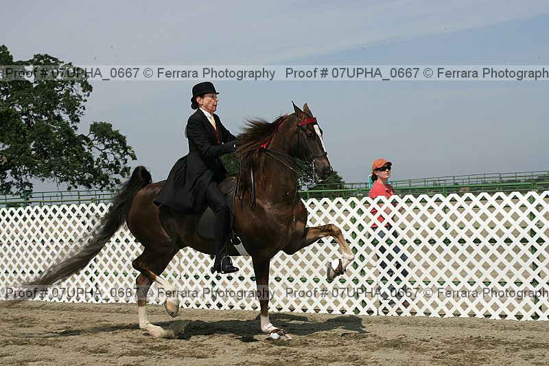 Proof Number 07upha_0667