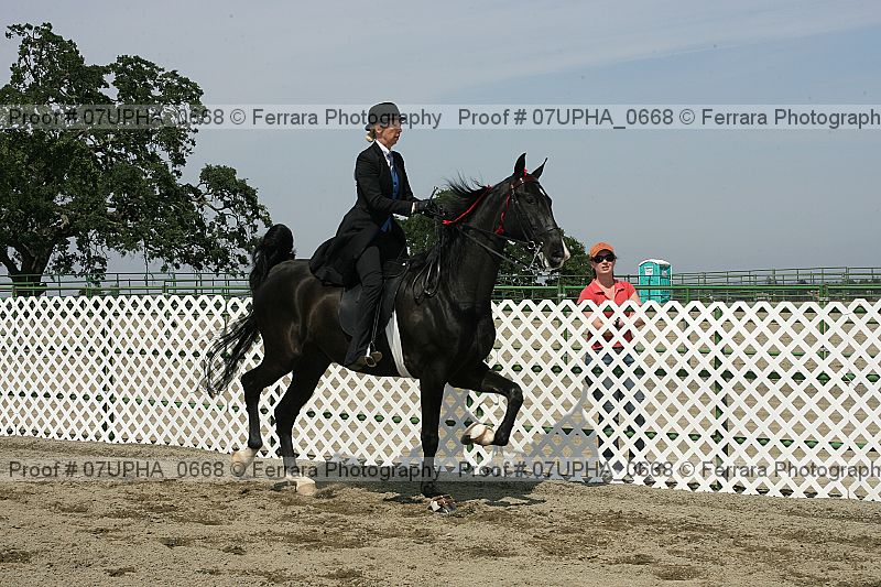 Proof Number 07upha_0668