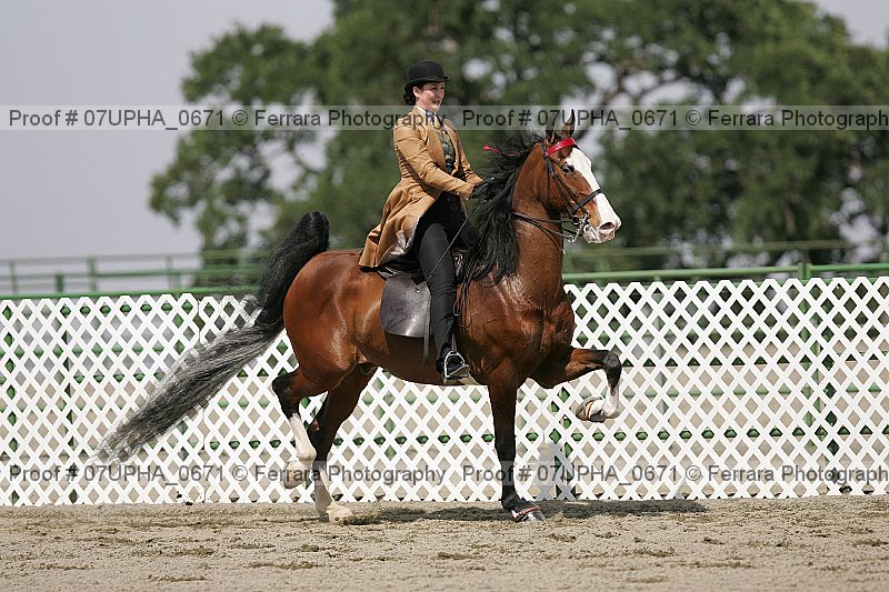 Proof Number 07upha_0671
