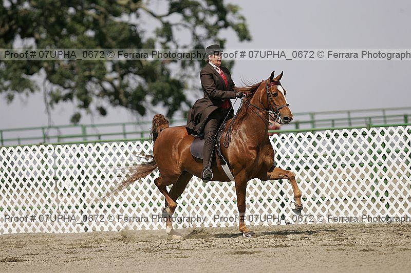 Proof Number 07upha_0672