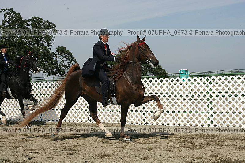 Proof Number 07upha_0673