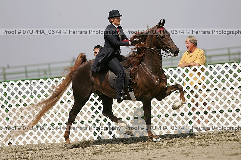 Proof Number 07upha_0674
