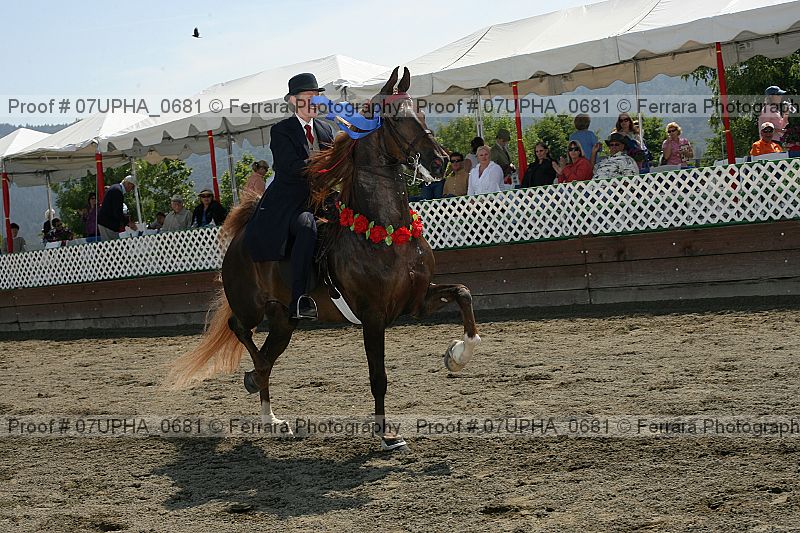 Proof Number 07upha_0681