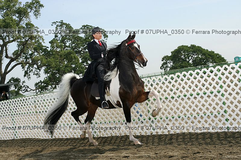 Proof Number 07upha_0350