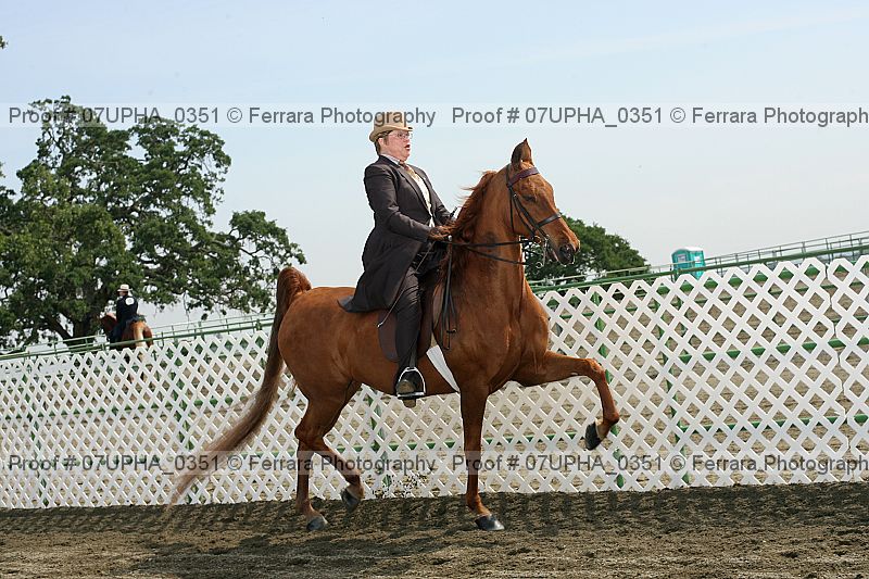 Proof Number 07upha_0351