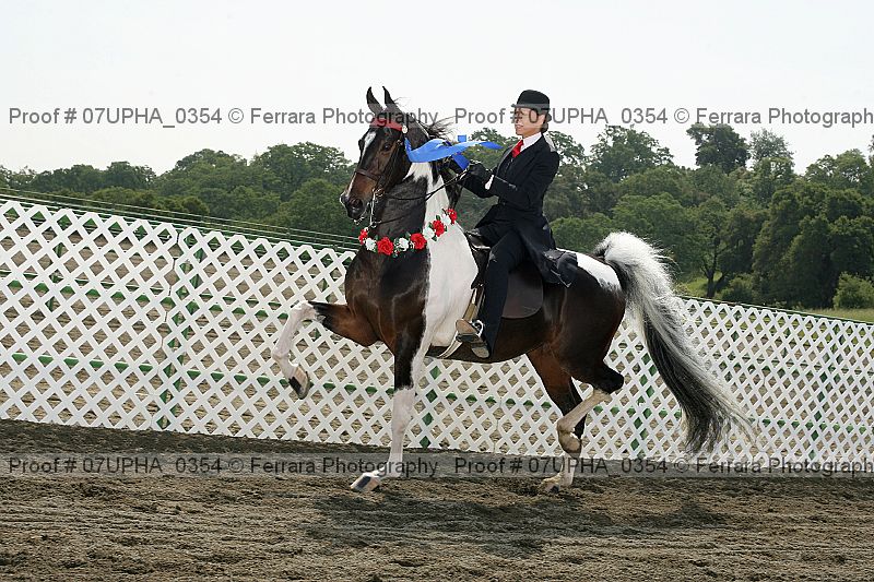 Proof Number 07upha_0354
