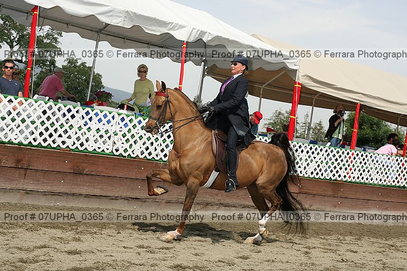 Proof Number 07upha_0365