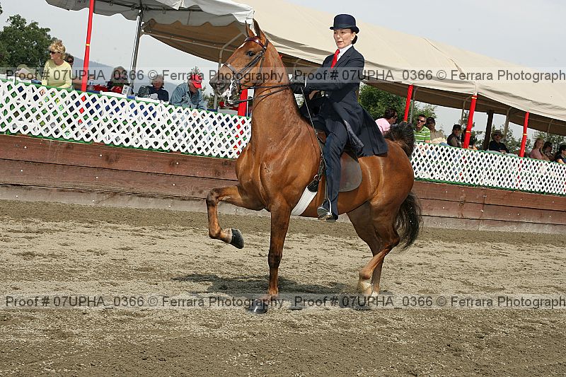 Proof Number 07upha_0366
