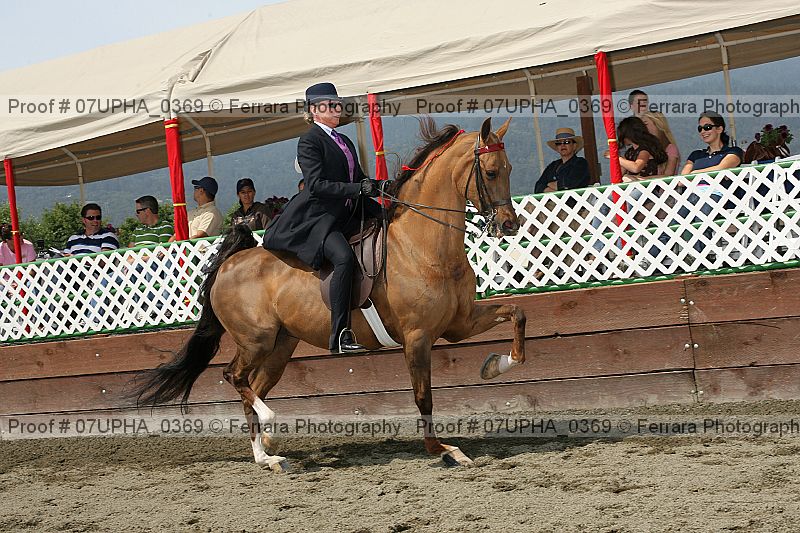 Proof Number 07upha_0369