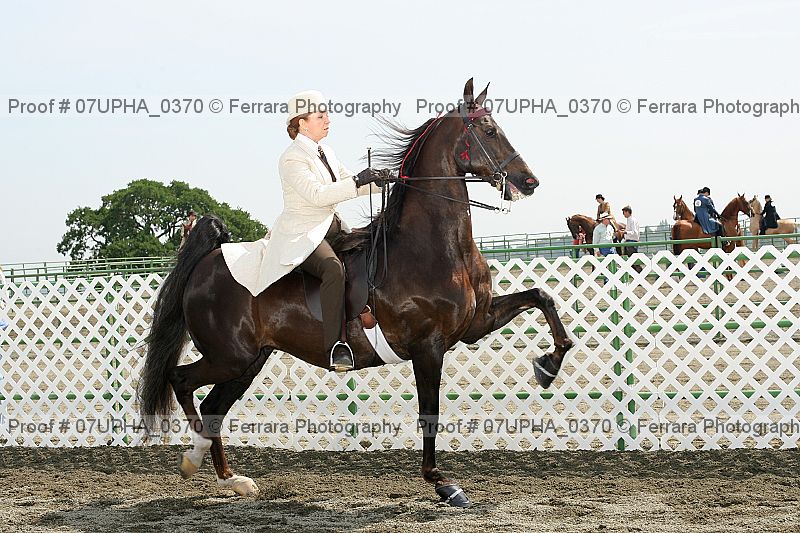 Proof Number 07upha_0370