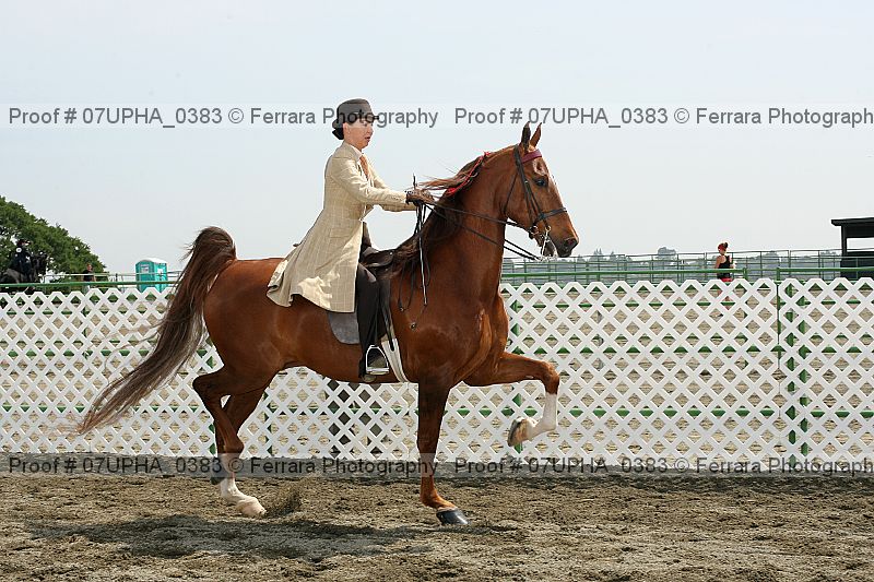 Proof Number 07upha_0383