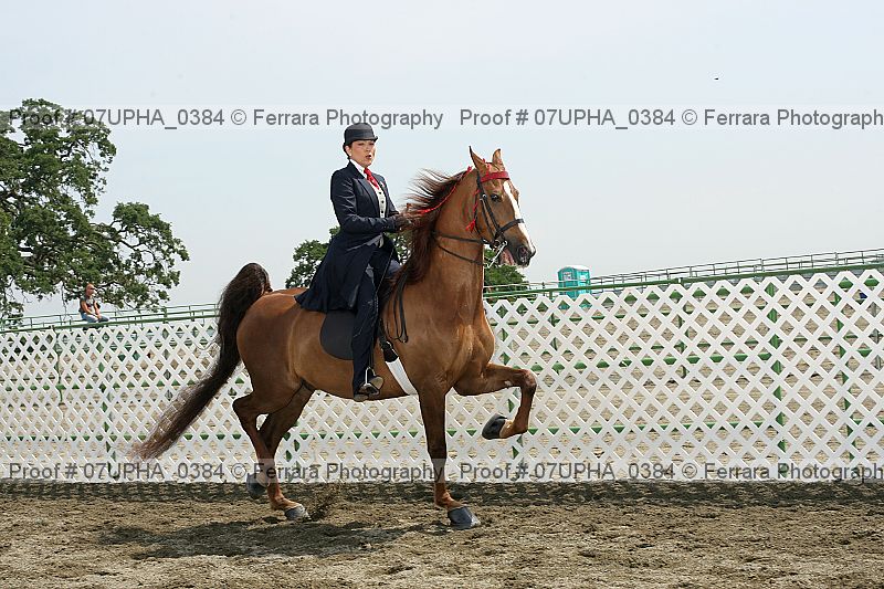 Proof Number 07upha_0384