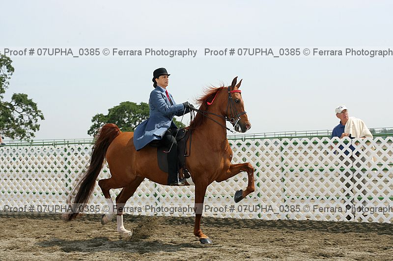 Proof Number 07upha_0385