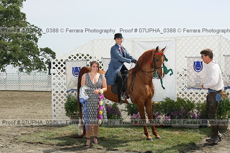 Proof Number 07upha_0388