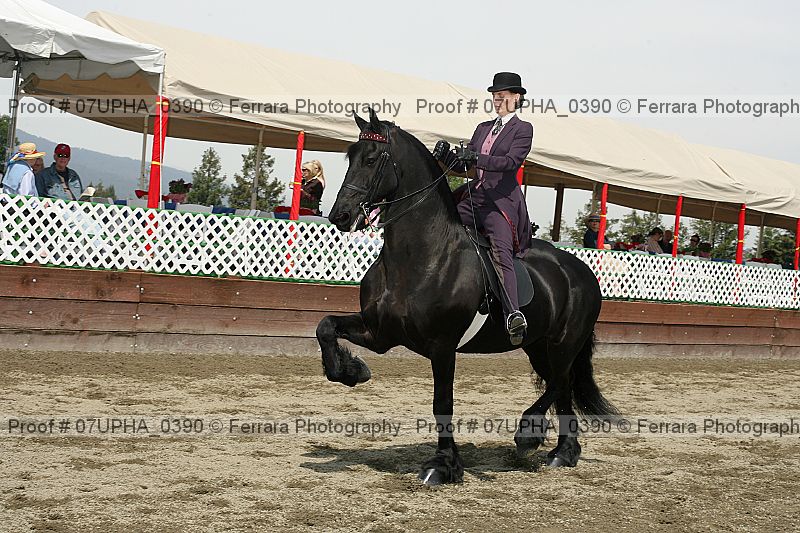 Proof Number 07upha_0390