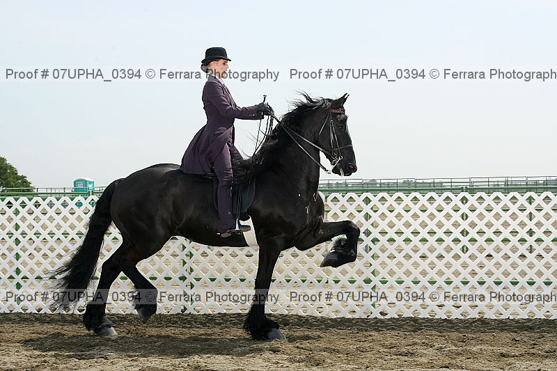 Proof Number 07upha_0394