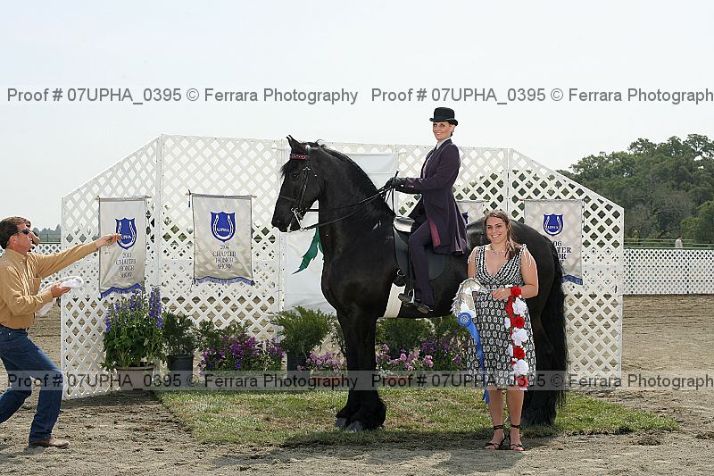 Proof Number 07upha_0395