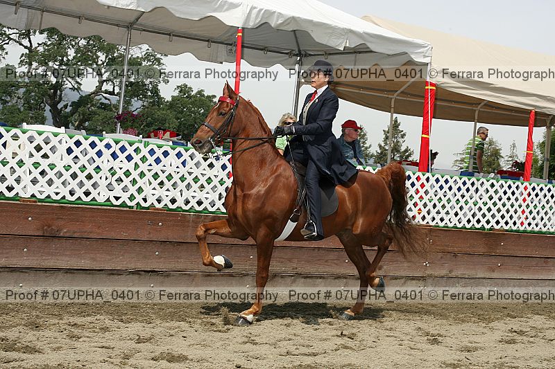 Proof Number 07upha_0401