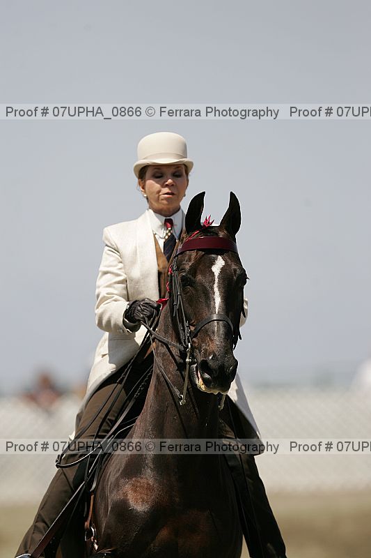 Proof Number 07upha_0866