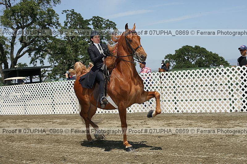 Proof Number 07upha_0869
