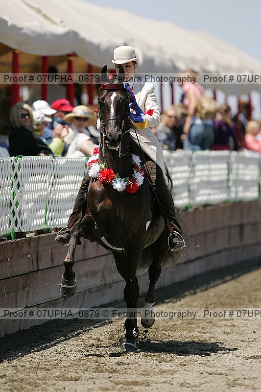Proof Number 07upha_0879