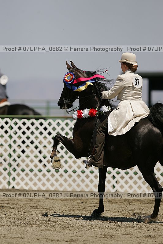 Proof Number 07upha_0882