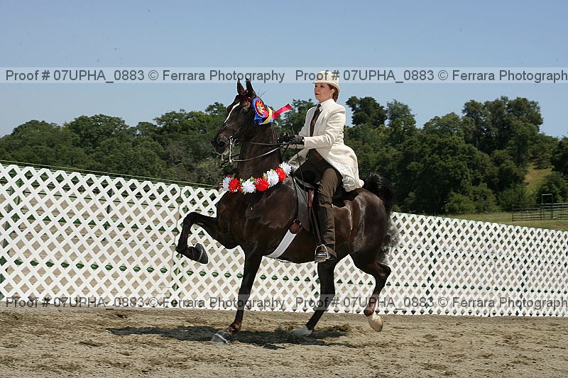 Proof Number 07upha_0883