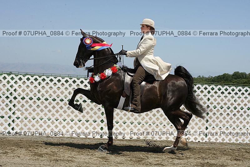 Proof Number 07upha_0884