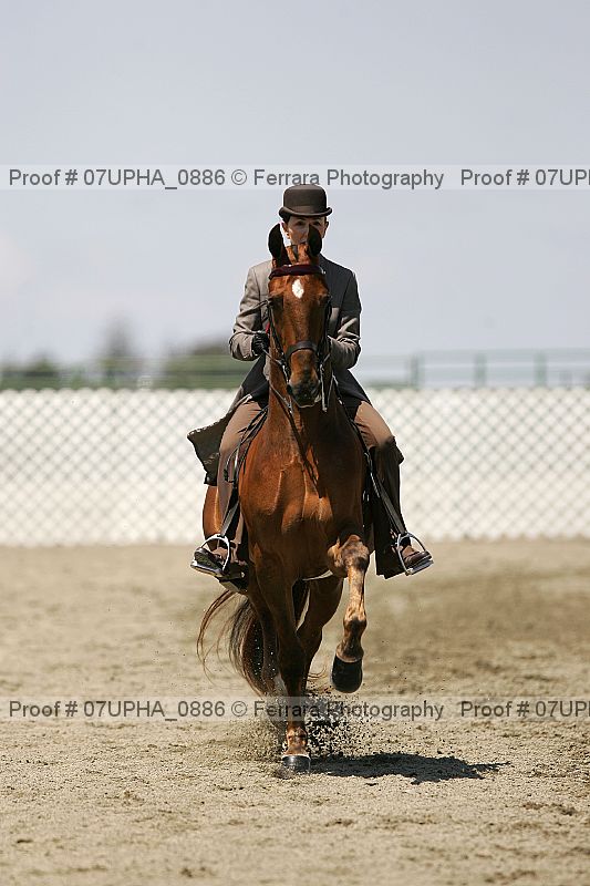 Proof Number 07upha_0886